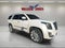 2019 Cadillac Escalade Platinum
