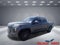 2023 Toyota Tundra 2WD Platinum